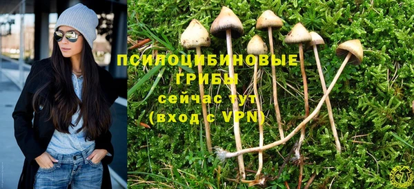 a pvp Алзамай